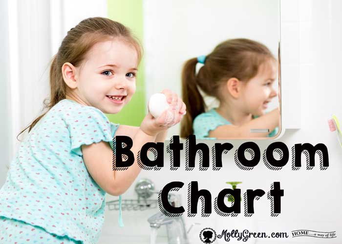 Bathroom Cleaning Checklist Meme