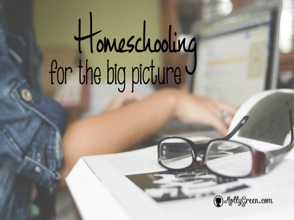 Homeschooling-Big-Picture-Meme