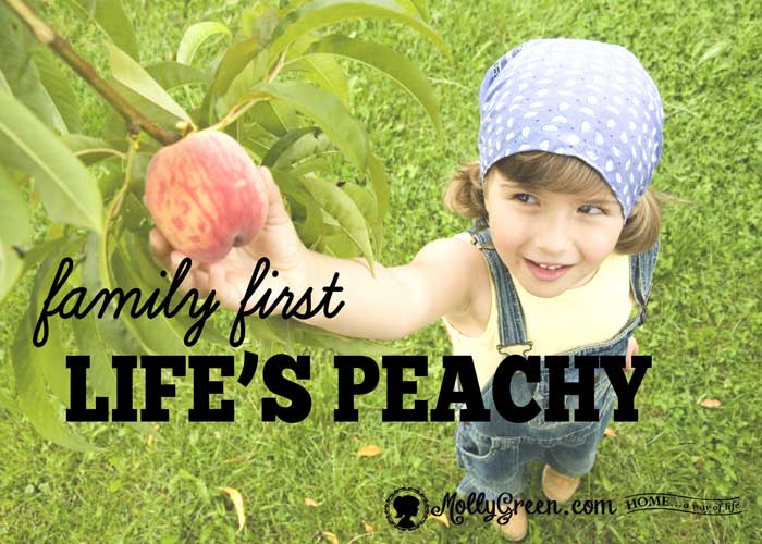 Lifes-Peachy-Meme