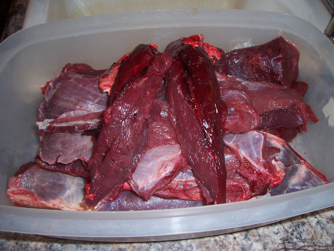 cutting up venison meat