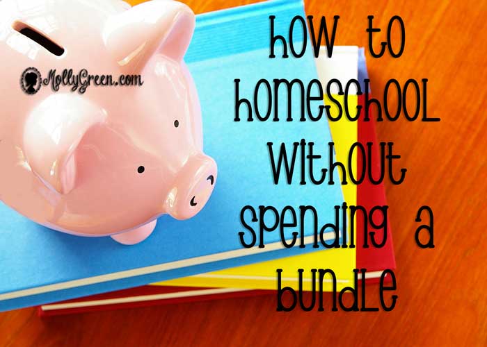 Homeschooling on a Budget, 5 Cheap Homeschooling Tips - how to homeschool without spending a bundle