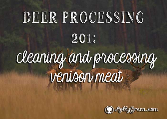 Processing Venison Meat