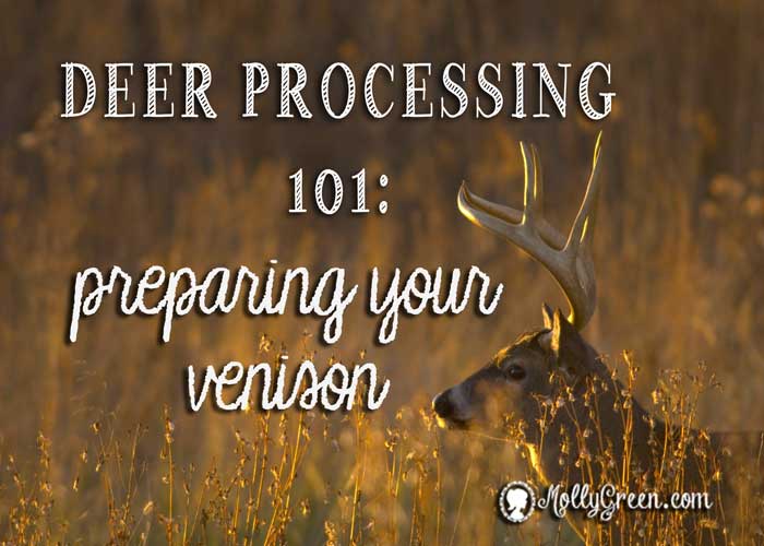 how to process a deer