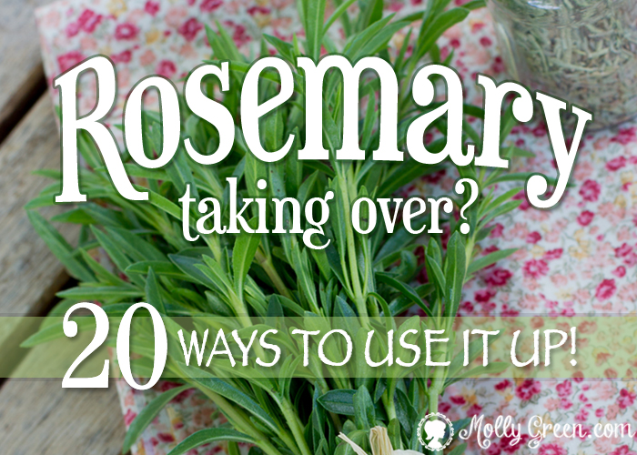 How to Use Rosemary