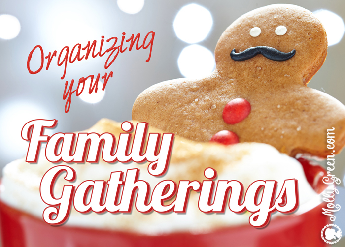 Organizing Family Gatherings meme