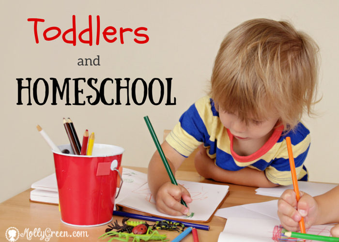 Bauer_Homeschooling with Toddlers meme
