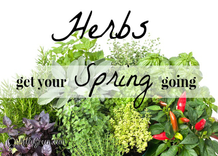 Spring Planting Guide with Herb Garden Ideas for the New Year: featured image with a colorful herb garden.