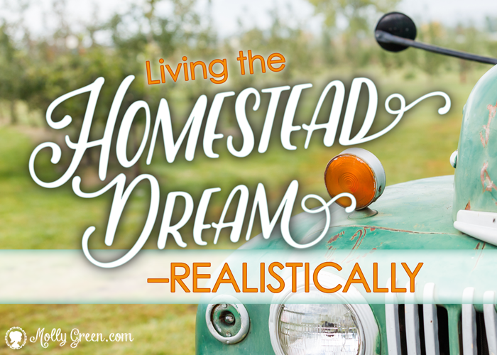 Homesteading With Realistic Expectations - featured image showing the front of an old vehicle with text that says Living the Homestead Dream Realistically