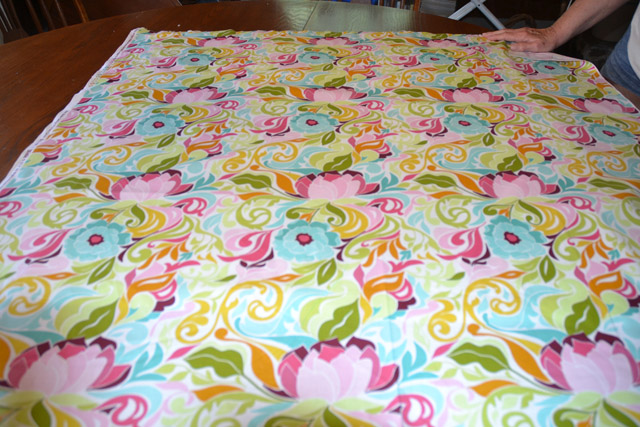 Minky Blanket Bold swirls for baby girl