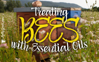 Essential Oils for Bees