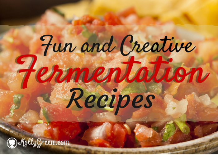 Fermentation Recipes