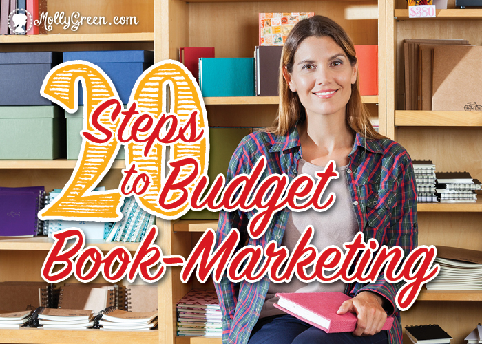 Fielding_20 Steps to Budget Book-Marketing_700x500