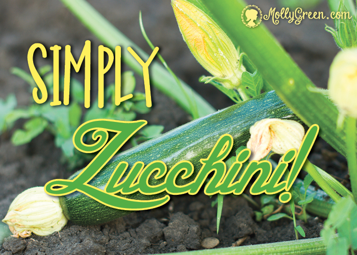 Zucchini Squash Growing Tips - From Planting to Storage