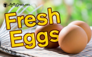 Fresh Eggs Guide, including the Egg Water Test