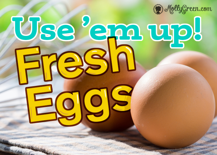Fresh Eggs Guide, including the Egg Water Test - featured image showing eggs on a towel in the sun with a green background.