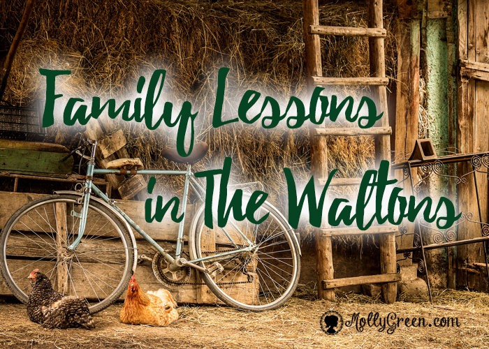 family-lessons-in-the-waltons
