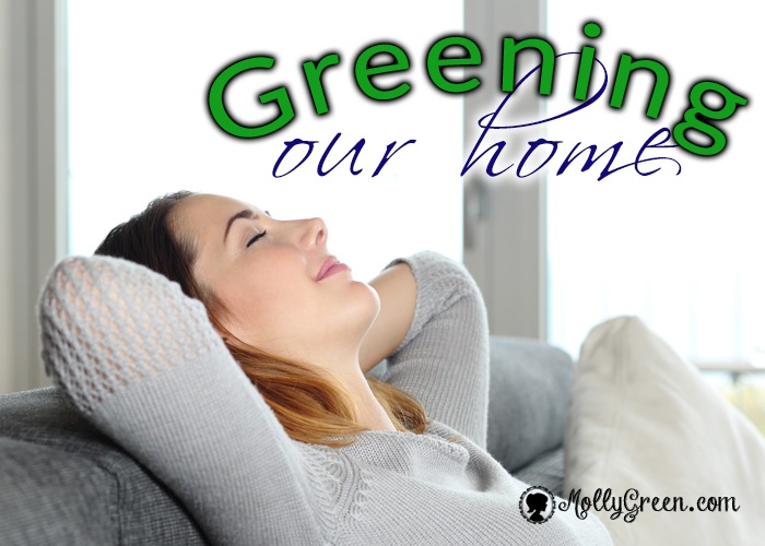 How to Create a Clean, Green, Toxin Free Home Environment