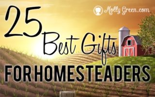 Gifts For Homesteaders, The 25 BEST Gifts For ANY Homestead