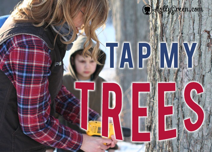 Tapping Maple Trees Starter Kit Product Review
