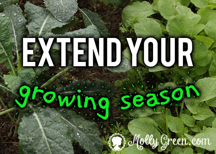 How to Extend Growing Season with Cold Frames/Low Tunnels