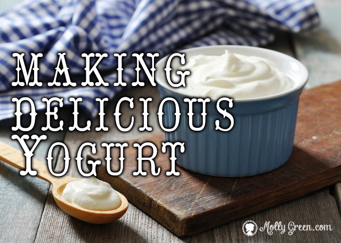How To Make Yogurt At Home