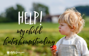 Homesteading Archives Molly Green