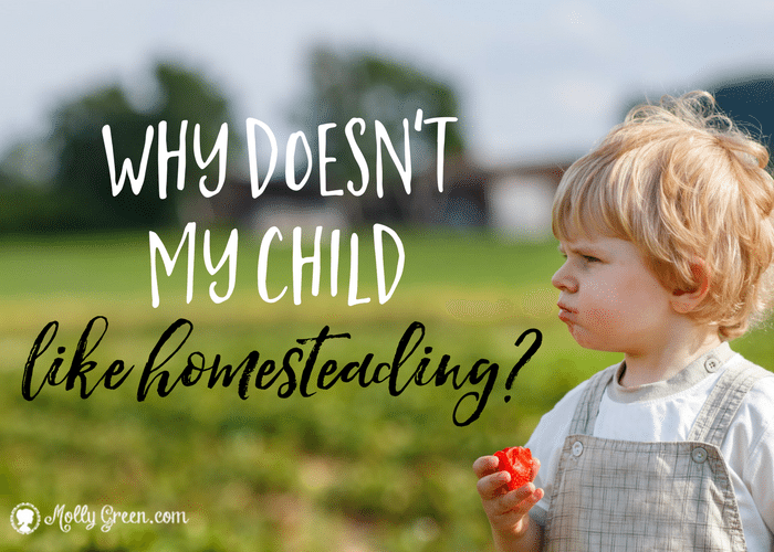 Homestead Lifestyle And Children Who Dislike It - featured image showing a small child on a farm looking upset about homesteading