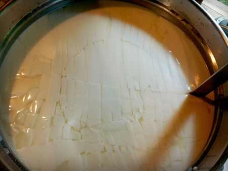 cutting cheese curds which have set from rennet and cheese cultures