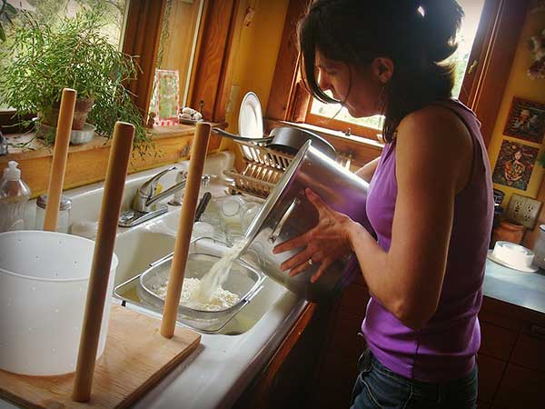 woman draining off liquid and whey from cheese curds when making cheese