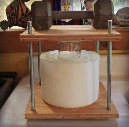 cheese mold inside a homemade cheese press with barbell on top
