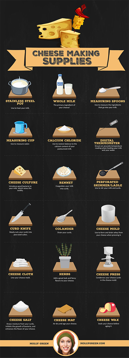 cheese making supplies infographic