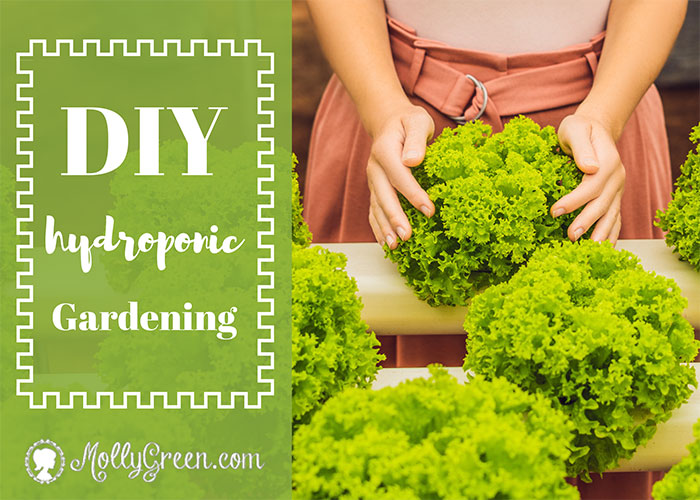DIY Hydroponic Gardening With Hydroponics