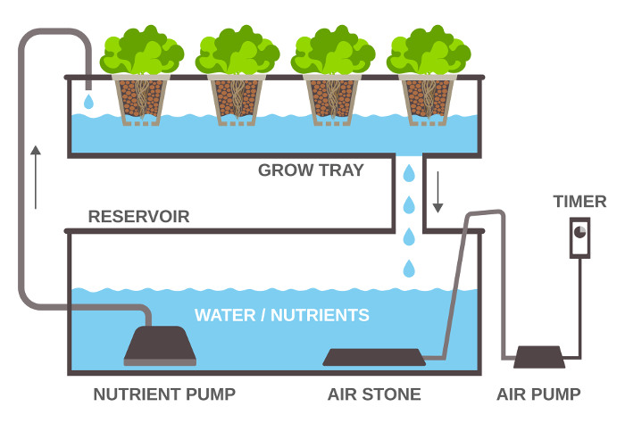 how hydroponic garden systems work