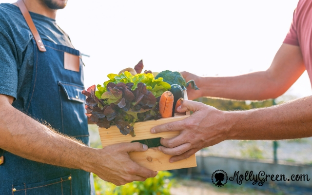 How to Sell at a Farmers Market and Make More Money